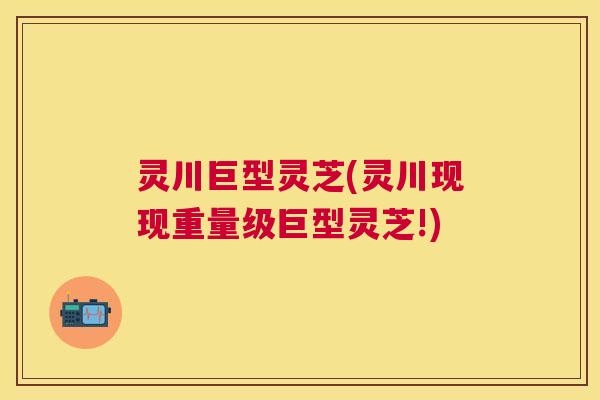 灵川巨型灵芝(灵川现现重量级巨型灵芝!) 灵川巨型灵芝(灵川现现重量级巨型灵芝!)