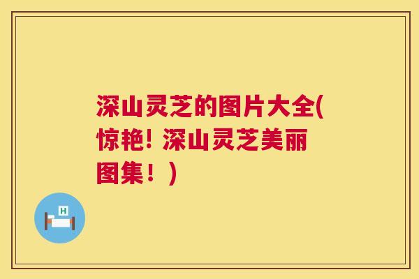 深山灵芝的图片大全(惊艳! 深山灵芝美丽图集！)