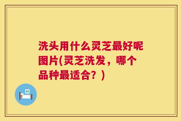 洗头用什么灵芝好呢图片(灵芝洗发，哪个品种适合？)