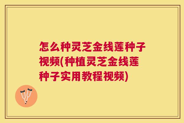 怎么种灵芝金线莲种子视频(种植灵芝金线莲种子实用教程视频)