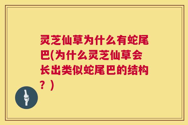 灵芝仙草为什么有蛇尾巴(为什么灵芝仙草会长出类似蛇尾巴的结构?) 灵芝仙草为什么有蛇尾巴(为什么灵芝仙草会长出类似蛇尾巴的结构?)