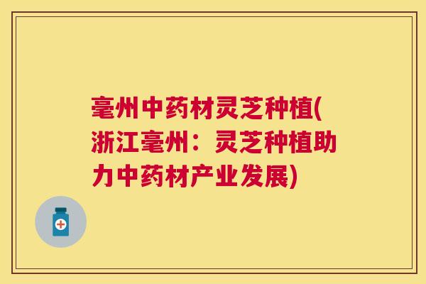 毫州材灵芝种植(浙江毫州:灵芝种植助力材产业发展) 毫州材灵芝种植(浙江毫州:灵芝种植助力材产业发展)