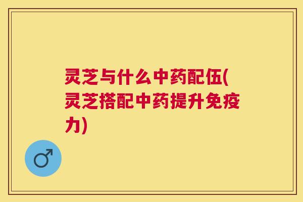灵芝与什么配伍(灵芝搭配提升免疫力)