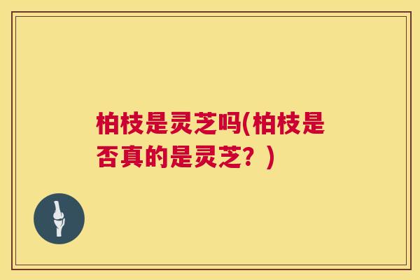 柏枝是灵芝吗(柏枝是否真的是灵芝?) 柏枝是灵芝吗(柏枝是否真的是灵芝?)