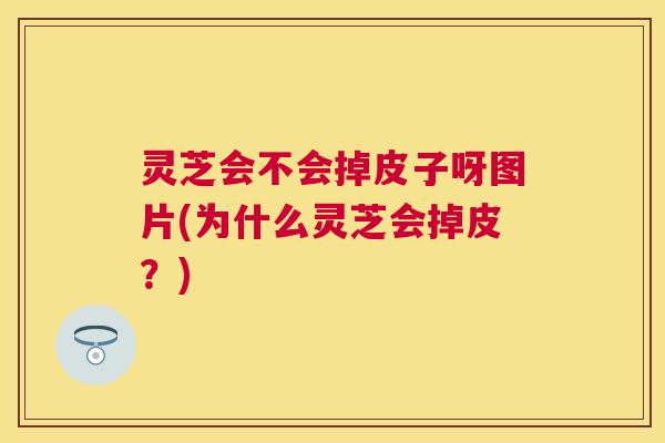 灵芝会不会掉皮子呀图片(为什么灵芝会掉皮?) 灵芝会不会掉皮子呀图片(为什么灵芝会掉皮?)