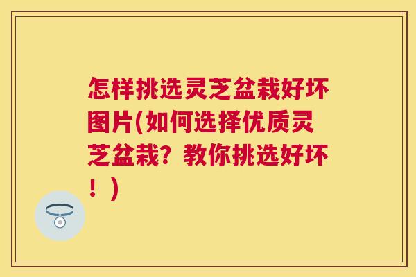 怎样挑选灵芝盆栽好坏图片(如何选择优质灵芝盆栽?教你挑选好坏!) 怎样挑选灵芝盆栽好坏图片(如何选择优质灵芝盆栽?教你挑选好坏!)