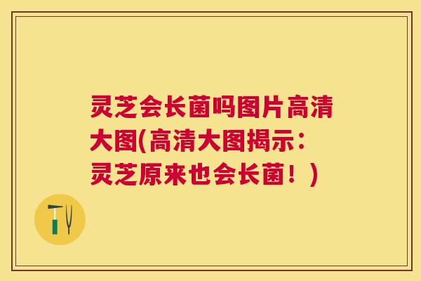 灵芝会长菌吗图片高清大图(高清大图揭示：灵芝原来也会长菌！)