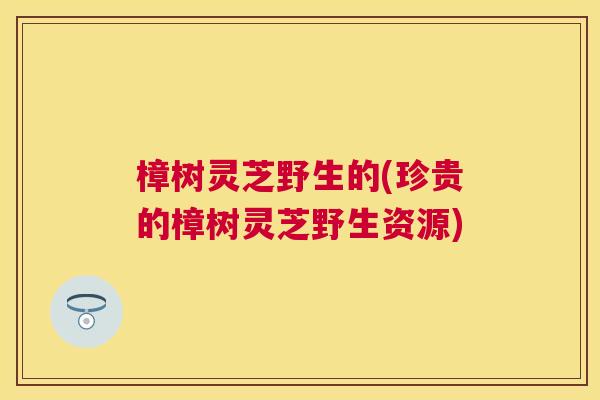 樟树灵芝野生的(珍贵的樟树灵芝野生资源)
