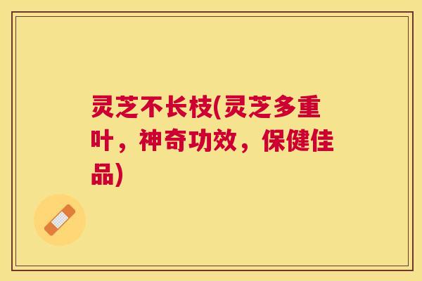 灵芝不长枝(灵芝多重叶,神奇功效,保健佳品) 灵芝不长枝(灵芝多重叶,神奇功效,保健佳品)
