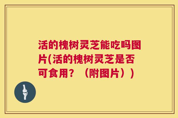 活的槐树灵芝能吃吗图片(活的槐树灵芝是否可食用?(附图片)) 活的槐树灵芝能吃吗图片(活的槐树灵芝是否可食用?(附图片))