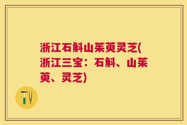 浙江石斛山茱萸灵芝(浙江三宝:石斛、山茱萸、灵芝) 浙江石斛山茱萸灵芝(浙江三宝:石斛、山茱萸、灵芝)