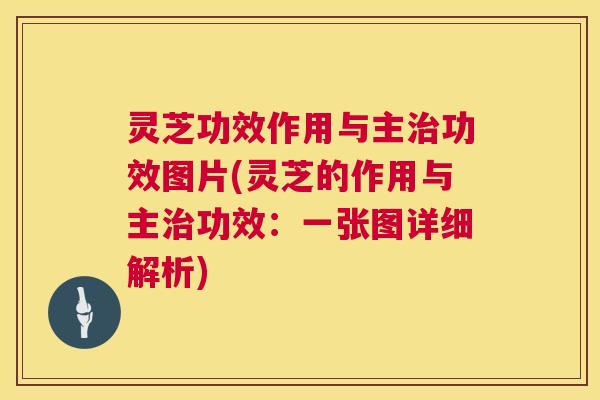灵芝功效作用与主功效图片(灵芝的作用与主功效:一张图详细解析) 灵芝功效作用与主功效图片(灵芝的作用与主功效:一张图详细解析)