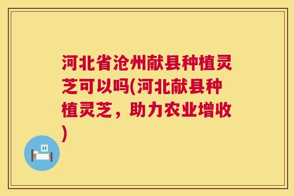 河北省沧州献县种植灵芝可以吗(河北献县种植灵芝，助力农业增收)