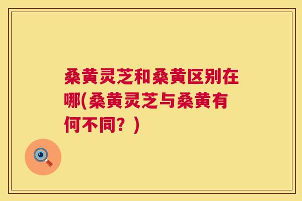 桑黄灵芝和桑黄区别在哪(桑黄灵芝与桑黄有何不同?) 桑黄灵芝和桑黄区别在哪(桑黄灵芝与桑黄有何不同?)