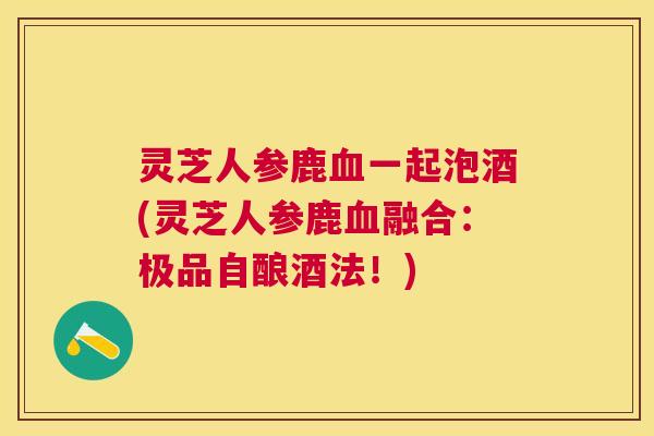 灵芝人参鹿一起泡酒(灵芝人参鹿融合：极品自酿酒法！)