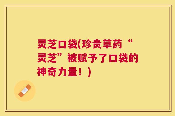 灵芝口袋(珍贵草药“灵芝”被赋予了口袋的神奇力量！)