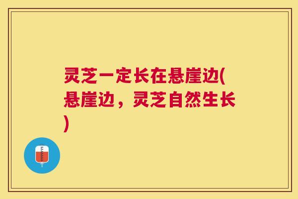 灵芝一定长在悬崖边(悬崖边,灵芝自然生长) 灵芝一定长在悬崖边(悬崖边,灵芝自然生长)