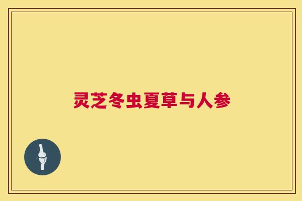 灵芝冬虫夏草与人参 灵芝冬虫夏草与人参