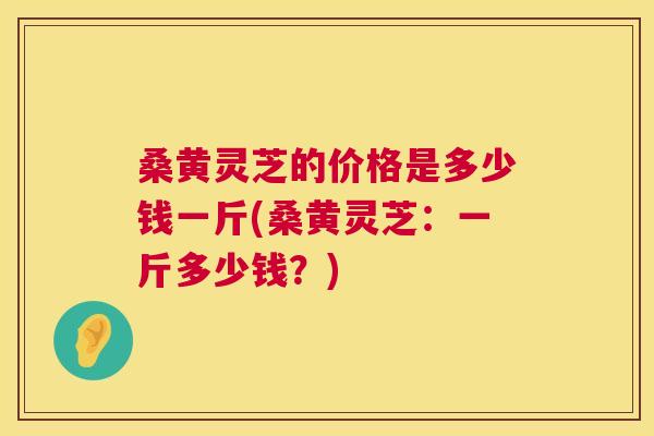 桑黄灵芝的价格是多少钱一斤(桑黄灵芝:一斤多少钱?) 桑黄灵芝的价格是多少钱一斤(桑黄灵芝:一斤多少钱?)