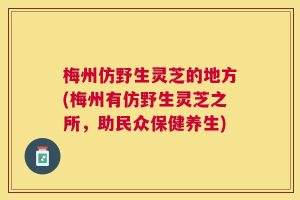 梅州仿野生灵芝的地方(梅州有仿野生灵芝之所,助民众保健养生) 梅州仿野生灵芝的地方(梅州有仿野生灵芝之所,助民众保健养生)