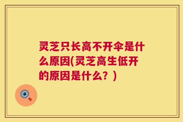 灵芝只长高不开伞是什么原因(灵芝高生低开的原因是什么?) 灵芝只长高不开伞是什么原因(灵芝高生低开的原因是什么?)