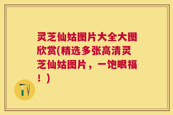 灵芝仙姑图片大全大图欣赏(精选多张高清灵芝仙姑图片，一饱眼福！)