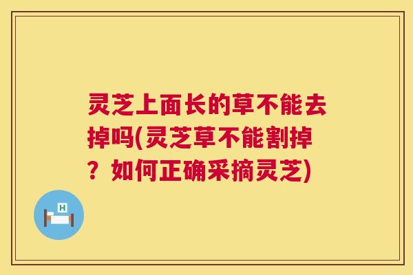 灵芝上面长的草不能去掉吗(灵芝草不能割掉?如何正确采摘灵芝) 灵芝上面长的草不能去掉吗(灵芝草不能割掉?如何正确采摘灵芝)