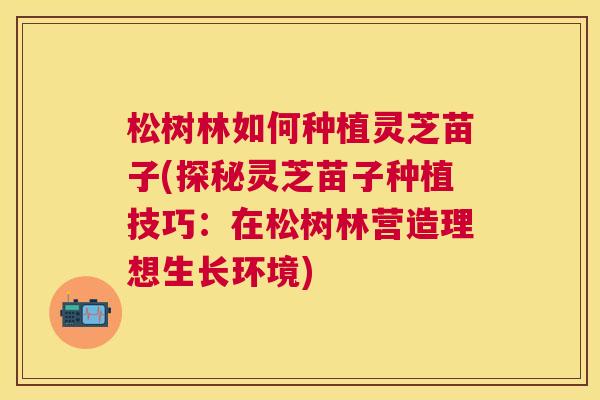 松树林如何种植灵芝苗子(探秘灵芝苗子种植技巧：在松树林营造理想生长环境)
