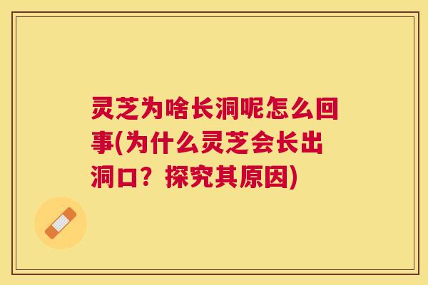 灵芝为啥长洞呢怎么回事(为什么灵芝会长出洞口？探究其原因)