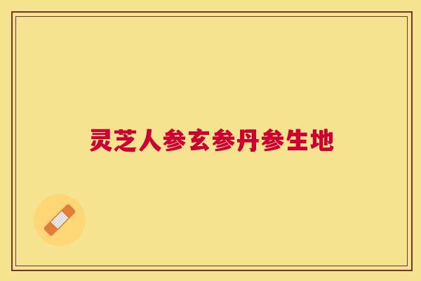 灵芝人参玄参丹参生地 灵芝人参玄参丹参生地