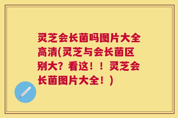 灵芝会长菌吗图片大全高清(灵芝与会长菌区别大？看这！！灵芝会长菌图片大全！)