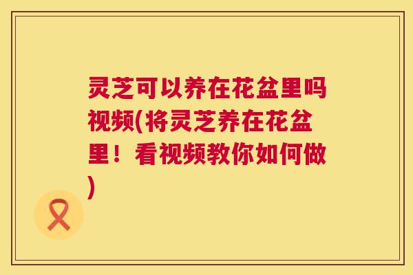 灵芝可以养在花盆里吗视频(将灵芝养在花盆里!看视频教你如何做) 灵芝可以养在花盆里吗视频(将灵芝养在花盆里!看视频教你如何做)
