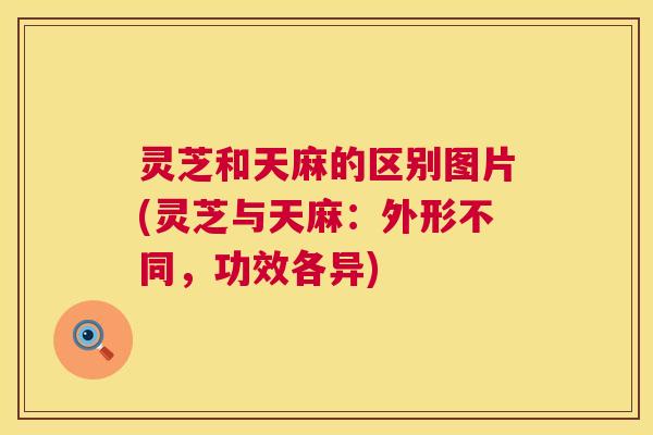 灵芝和天麻的区别图片(灵芝与天麻:外形不同,功效各异) 灵芝和天麻的区别图片(灵芝与天麻:外形不同,功效各异)