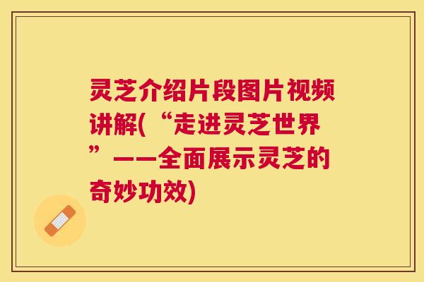 灵芝介绍片段图片视频讲解(“走进灵芝世界”——全面展示灵芝的奇妙功效)