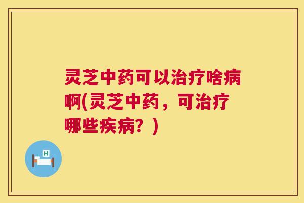灵芝可以啥啊(灵芝，可哪些？)