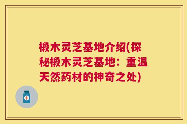 椴木灵芝基地介绍(探秘椴木灵芝基地：重温天然药材的神奇之处)
