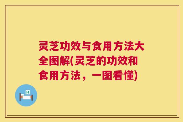 灵芝功效与食用方法大全图解(灵芝的功效和食用方法,一图看懂) 灵芝功效与食用方法大全图解(灵芝的功效和食用方法,一图看懂)