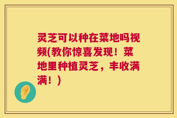 灵芝可以种在菜地吗视频(教你惊喜发现!菜地里种植灵芝,丰收满满!) 灵芝可以种在菜地吗视频(教你惊喜发现!菜地里种植灵芝,丰收满满!)