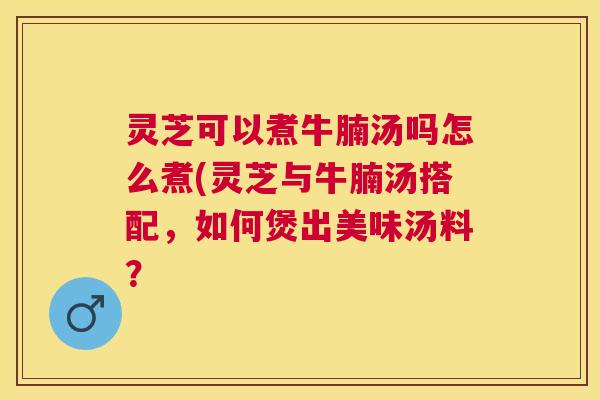 灵芝可以煮牛腩汤吗怎么煮(灵芝与牛腩汤搭配，如何煲出美味汤料？