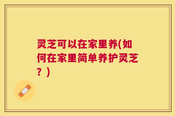 灵芝可以在家里养(如何在家里简单养护灵芝?) 灵芝可以在家里养(如何在家里简单养护灵芝?)