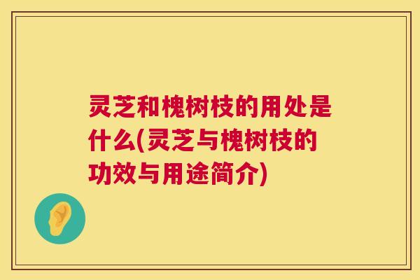 灵芝和槐树枝的用处是什么(灵芝与槐树枝的功效与用途简介)
