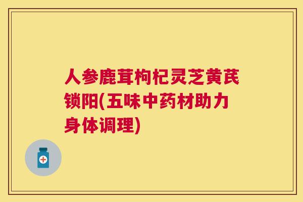 人参鹿茸枸杞灵芝黄芪锁阳(五味材助力身体调理)