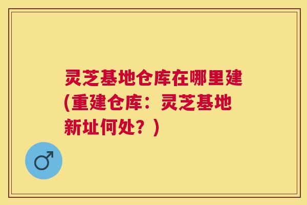 灵芝基地仓库在哪里建(重建仓库：灵芝基地新址何处？)