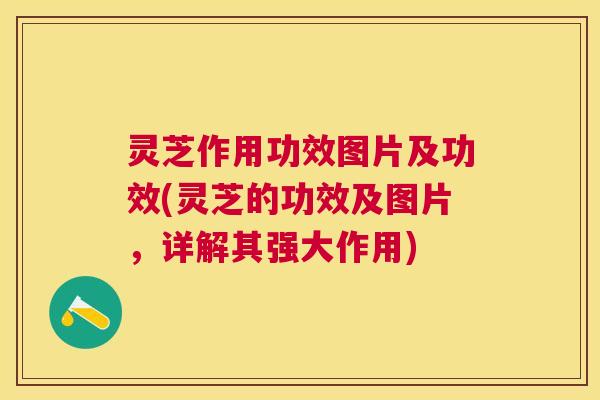 灵芝作用功效图片及功效(灵芝的功效及图片,详解其强大作用) 灵芝作用功效图片及功效(灵芝的功效及图片,详解其强大作用)