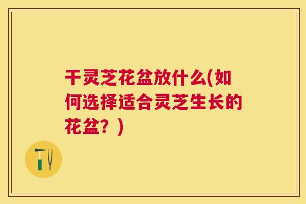 干灵芝花盆放什么(如何选择适合灵芝生长的花盆?) 干灵芝花盆放什么(如何选择适合灵芝生长的花盆?)