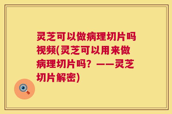 灵芝可以做理切片吗视频(灵芝可以用来做理切片吗？——灵芝切片解密)