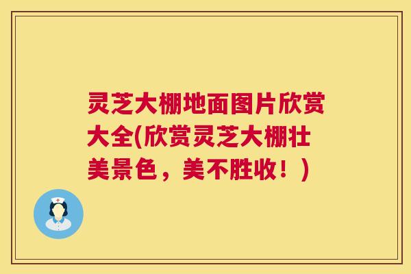 灵芝大棚地面图片欣赏大全(欣赏灵芝大棚壮美景色，美不胜收！)