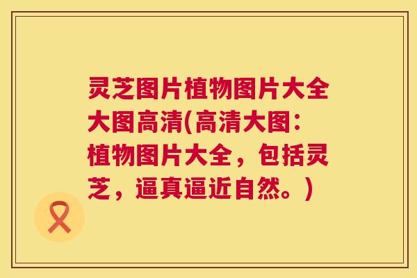 灵芝图片植物图片大全大图高清(高清大图:植物图片大全,包括灵芝,逼真逼近自然。) 灵芝图片植物图片大全大图高清(高清大图:植物图片大全,包括灵芝,逼真逼近自然。)