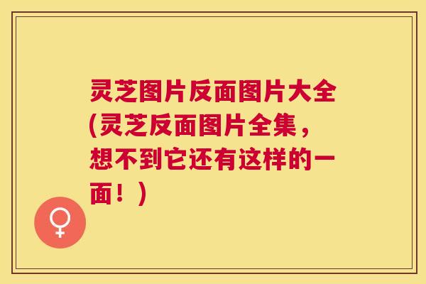 灵芝图片反面图片大全(灵芝反面图片全集，想不到它还有这样的一面！)