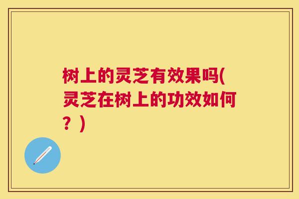树上的灵芝有效果吗(灵芝在树上的功效如何？)